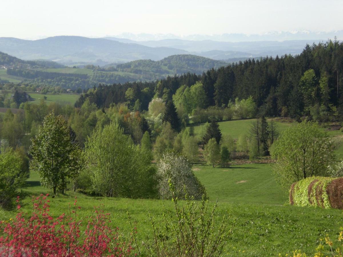 Ferienwohnungen Pichler Hohenau Exterior foto